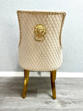 Mink Gold Lion Knocker Majestic Chairs
