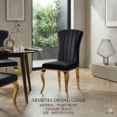 Armenia Dining Chairs - All Colours