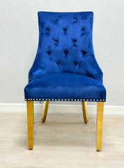 Navy Gold Majestic Lion Knocker Chairs