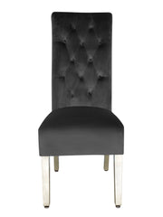 2 x Sofia Chrome Lion Knocker Chairs- Navy, Black, Mink, Grey